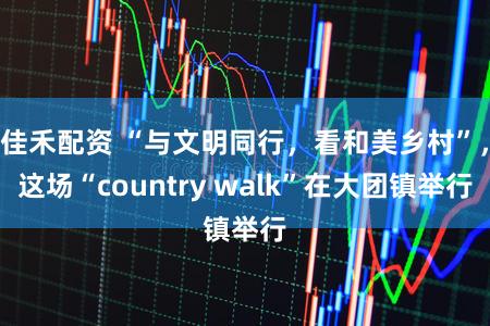 佳禾配资 “与文明同行，看和美乡村”，这场“country walk”在大团镇举行