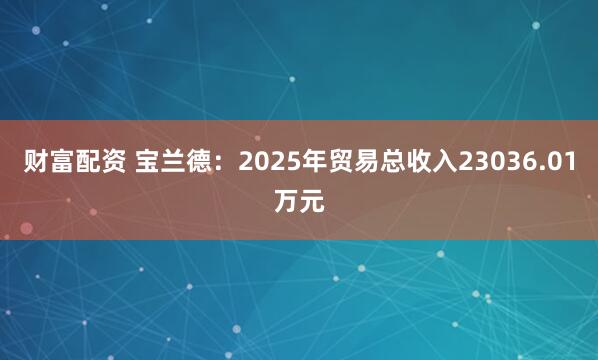 财富配资 宝兰德：2025年贸易总收入23036.01万元