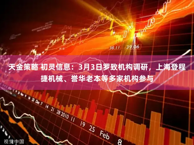 天金策略 初灵信息：3月3日罗致机构调研，上海登程捷机械、誉华老本等多家机构参与