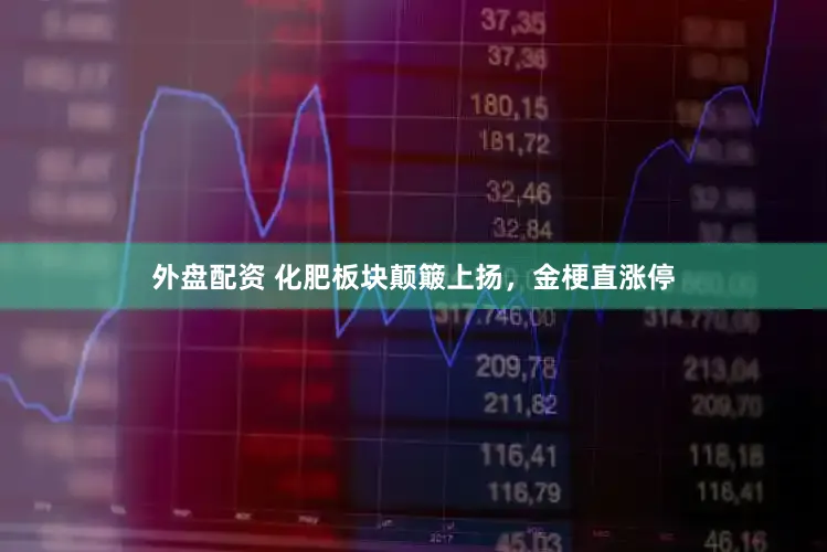 外盘配资 化肥板块颠簸上扬，金梗直涨停