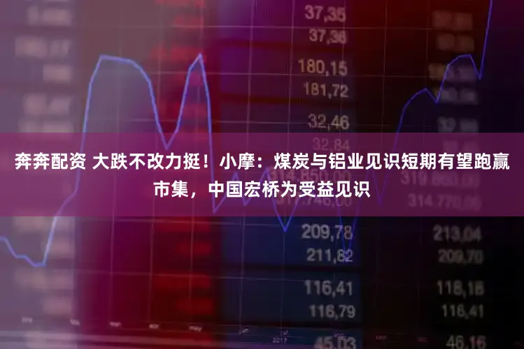 奔奔配资 大跌不改力挺！小摩：煤炭与铝业见识短期有望跑赢市集，中国宏桥为受益见识