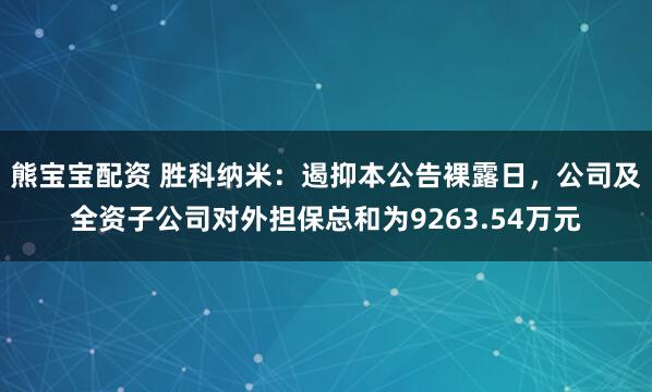 熊宝宝配资 胜科纳米：遏抑本公告裸露日，公司及全资子公司对外担保总和为9263.54万元
