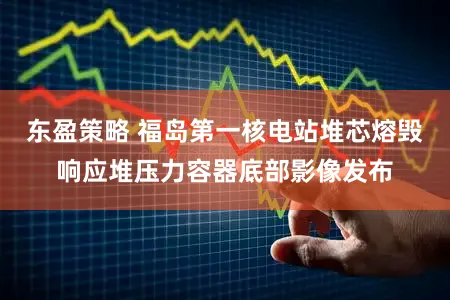 东盈策略 福岛第一核电站堆芯熔毁响应堆压力容器底部影像发布