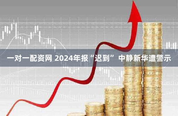 一对一配资网 2024年报“迟到” 中静新华遭警示