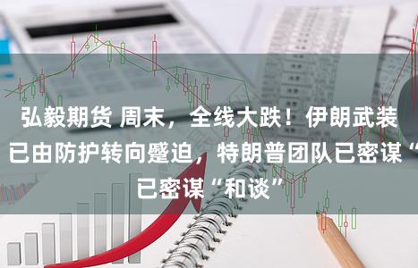 弘毅期货 周末，全线大跌！伊朗武装部队：已由防护转向蹙迫，特朗普团队已密谋“和谈”