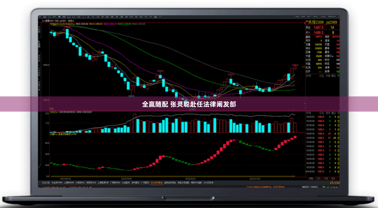 全赢随配 张灵聪赴任法律阐发部