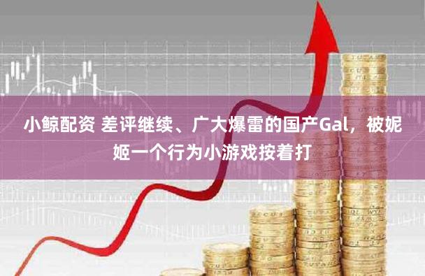 小鲸配资 差评继续、广大爆雷的国产Gal，被妮姬一个行为小游戏按着打