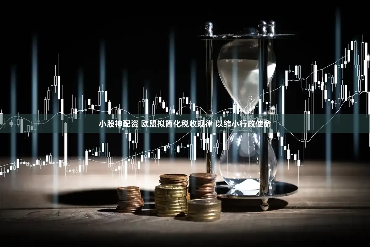 小股神配资 欧盟拟简化税收规律 以缩小行政使命